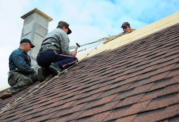 Quick and Trustworthy Emergency Roof Repair Services in Palestine, TX