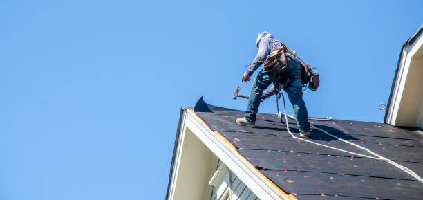 Best Roof Gutter Cleaning  in Palestine, TX